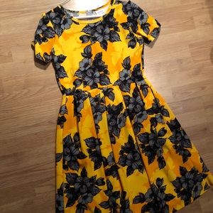 Amelia Dress only worn twice